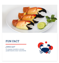 Cargar imagen en el visor de la galería, Large