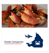 Cargar imagen en el visor de la galería, Large