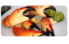 Cargar imagen en el visor de la galería, Jumbo