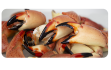 Cargar imagen en el visor de la galería, Large